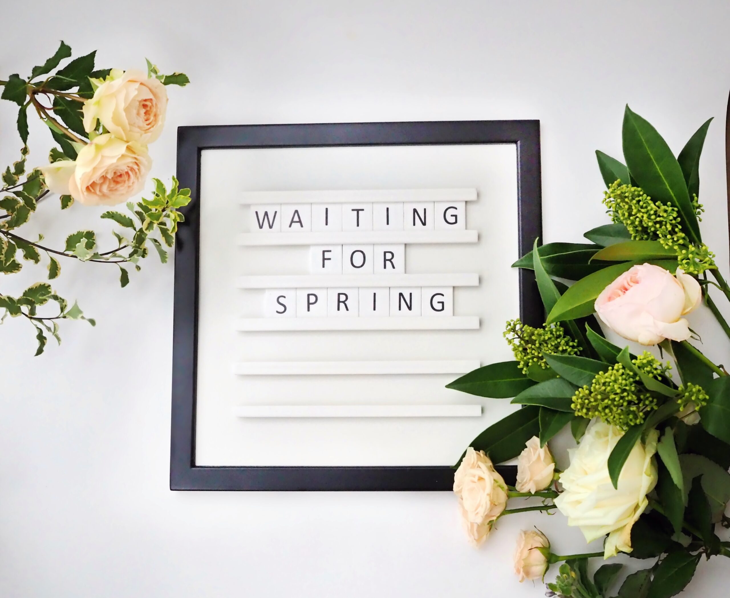 waiting for spring
