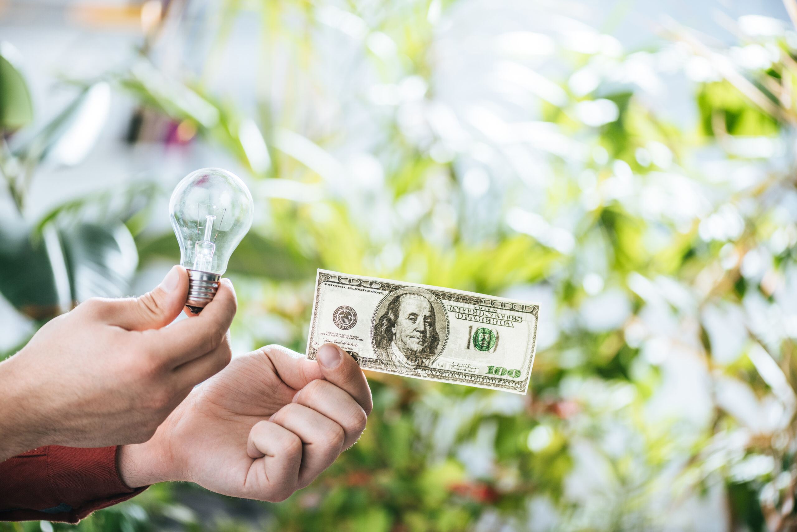 a bill and a bulb