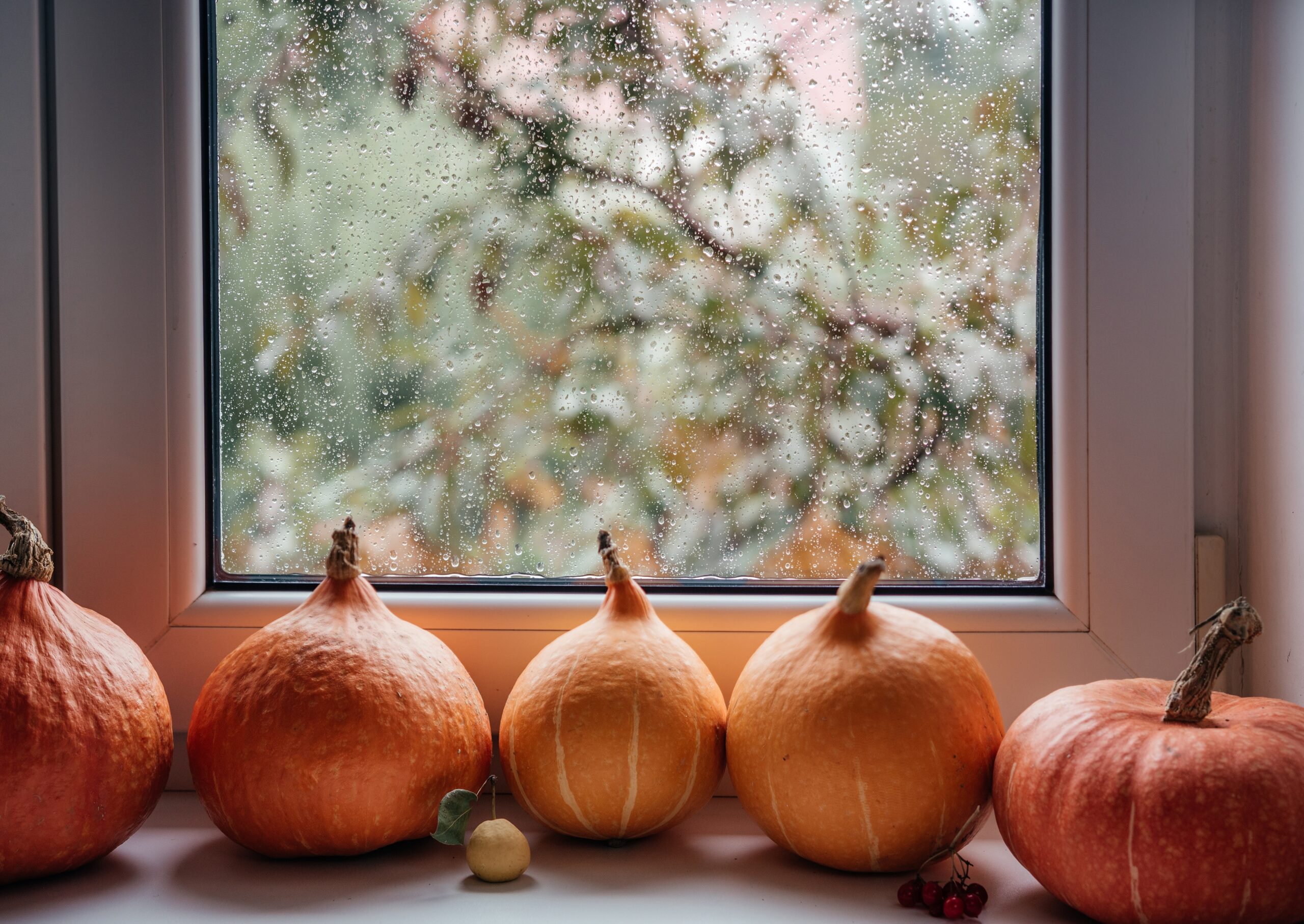 Pumpkins by the window