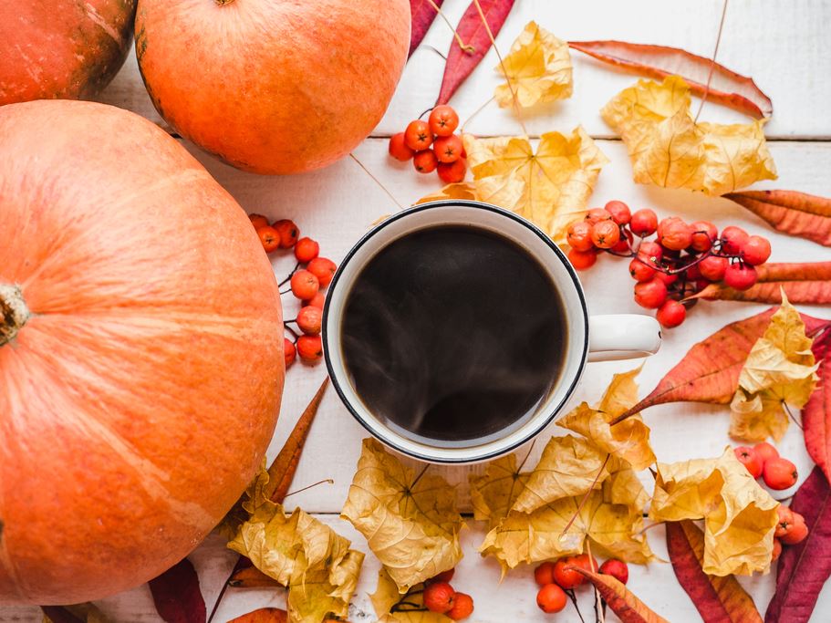 Table preparation with pumpkins